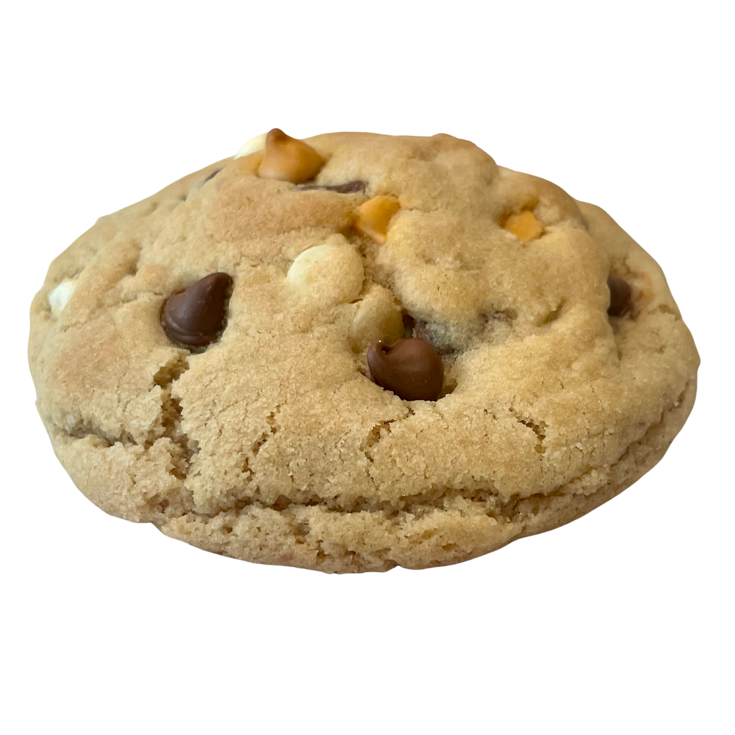 Triple Chip Cookie