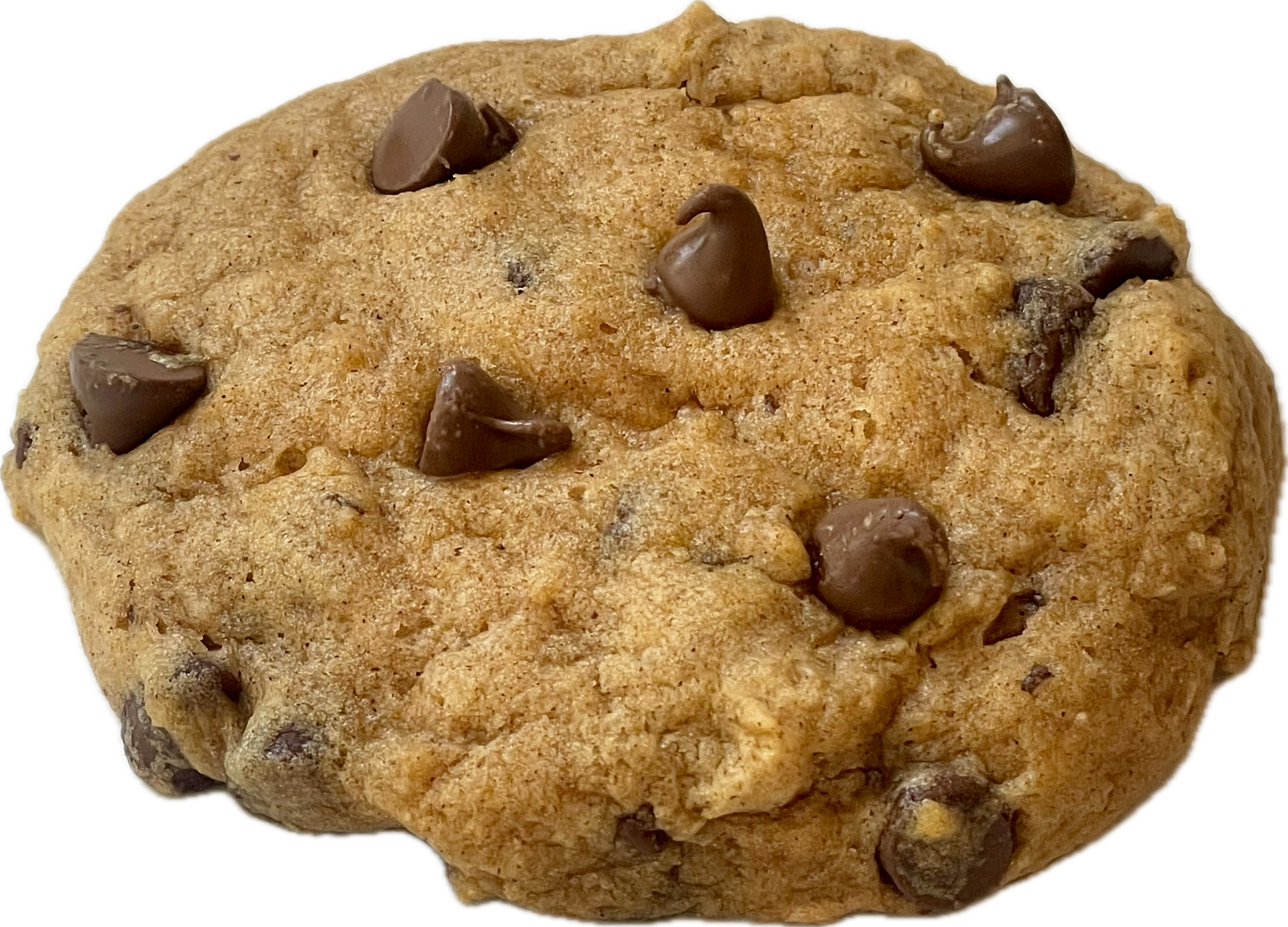 Pumpkin Chocolate Chip