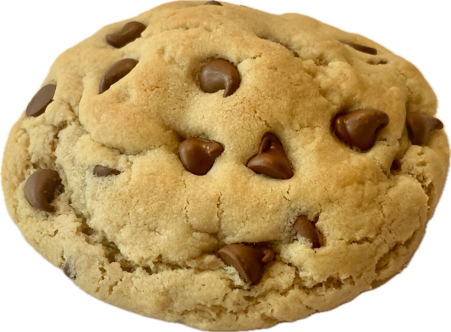 Peanut Butter Chocolate Chip